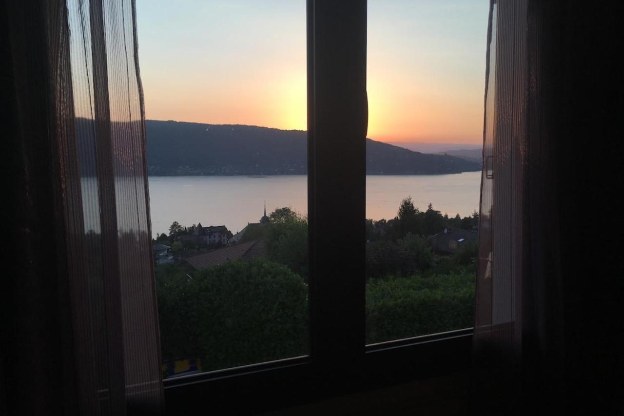 Maisonnette Vue Panoramique Lac D'Annecy ヴェリエ・デュ・ラック エクステリア 写真