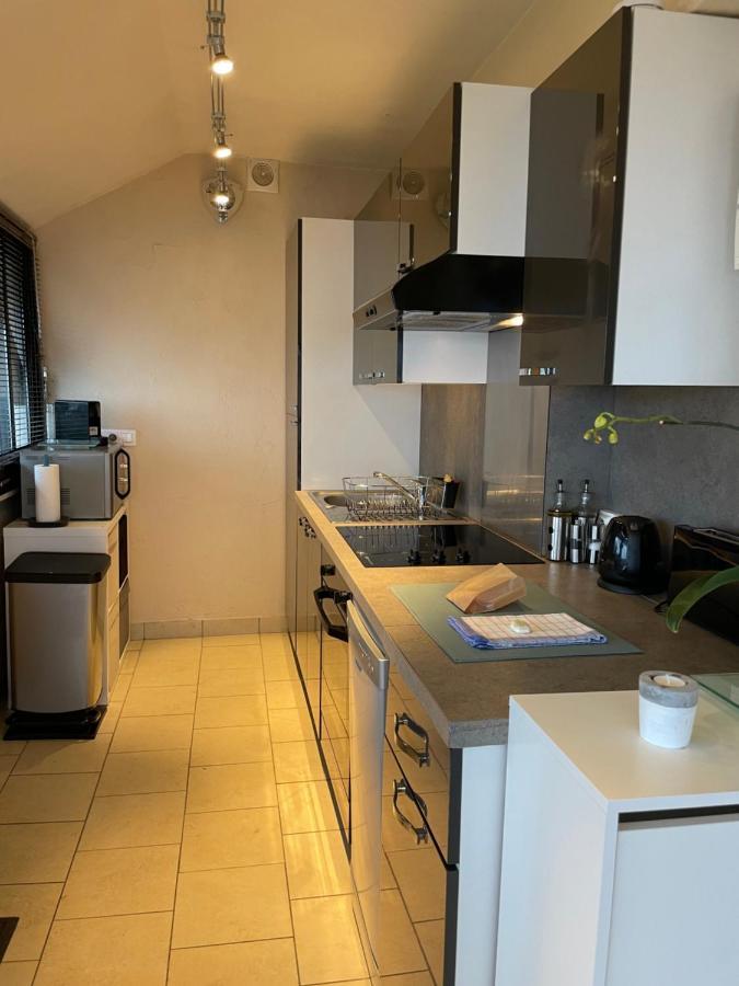 Maisonnette Vue Panoramique Lac D'Annecy ヴェリエ・デュ・ラック エクステリア 写真